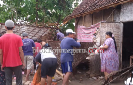 Hujan Angin, Rumah dan Pohon Roboh di Padangan